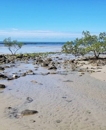 Cape Tribulation