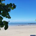 Cape Tribulation