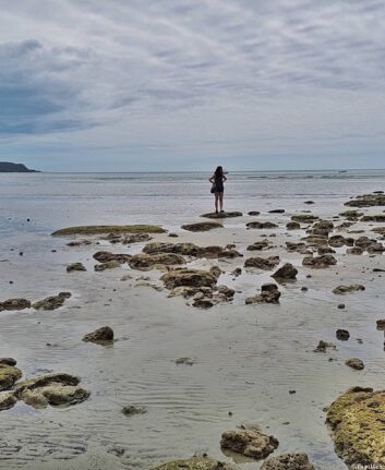 Cape Tribulation - Queensland