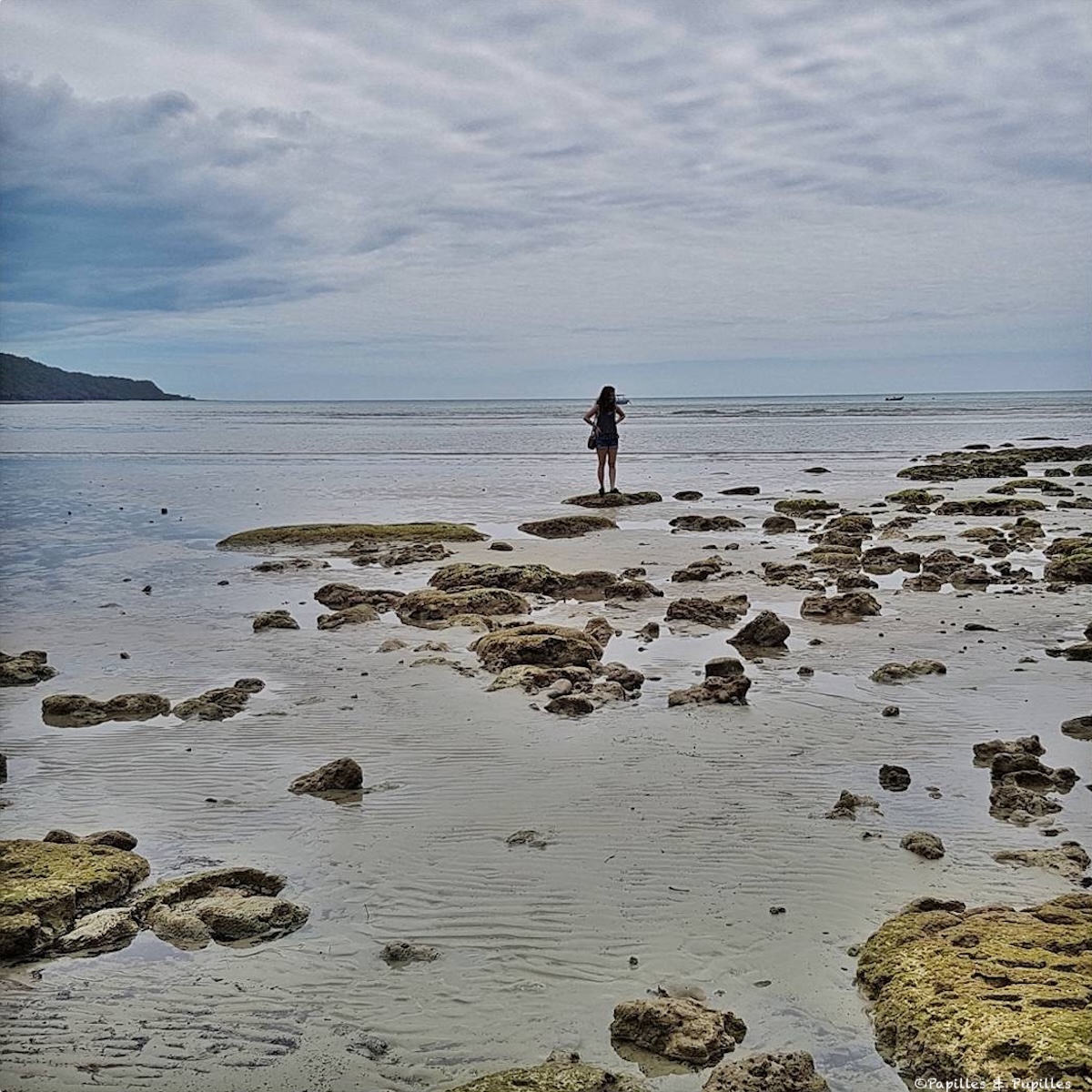 Cape Tribulation - Queensland