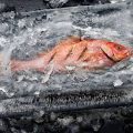 Cuisson du poisson dans la glace