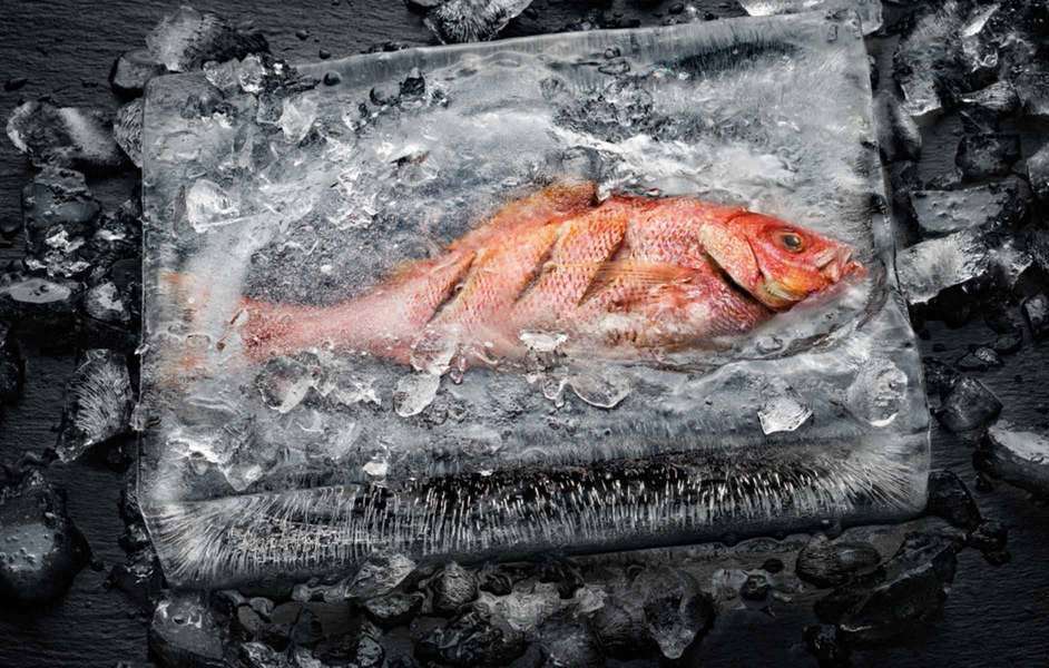 Cuisson du poisson dans la glace