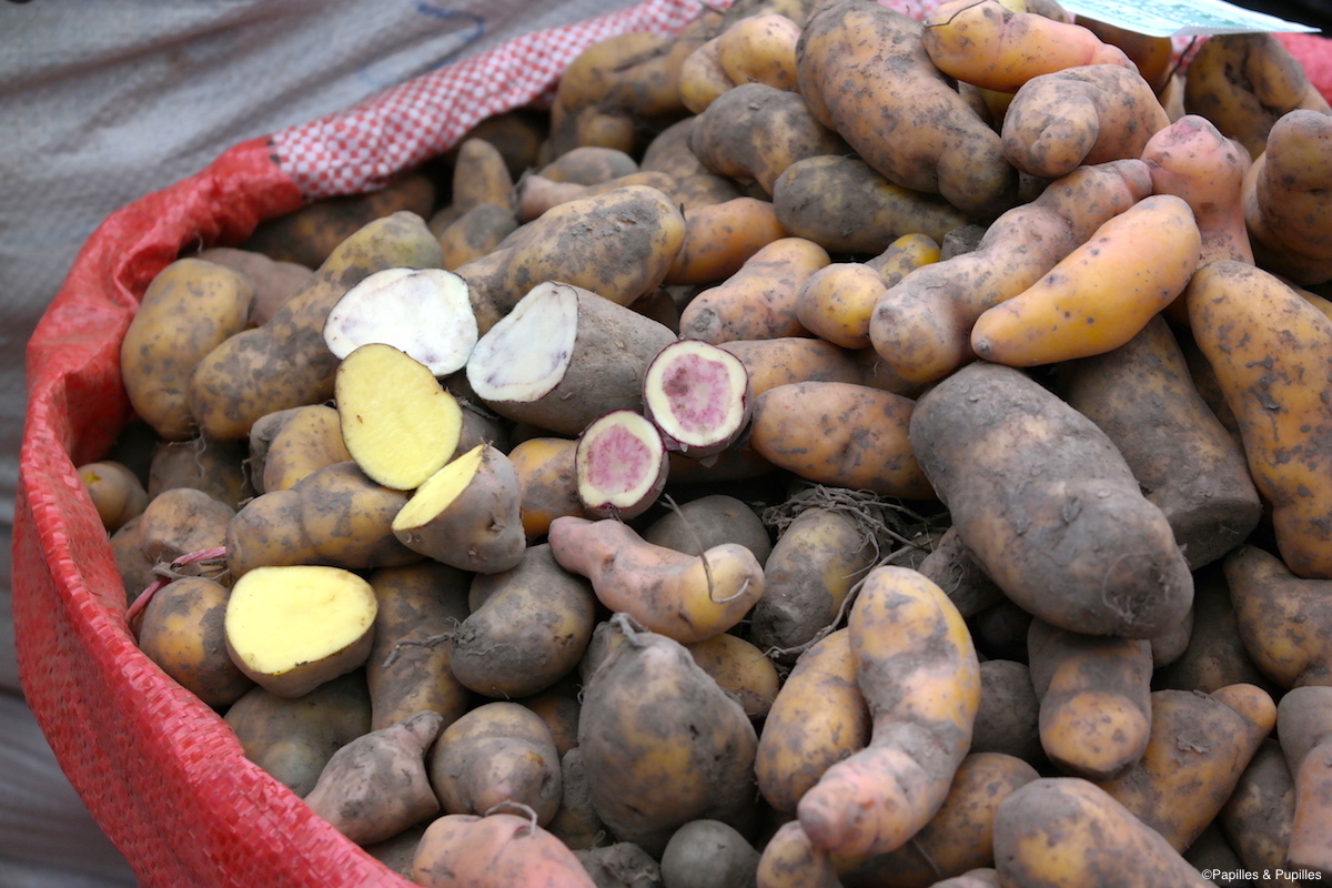 Différentes variétés de pommes de terre - Marché d'Urubamba - Pérou