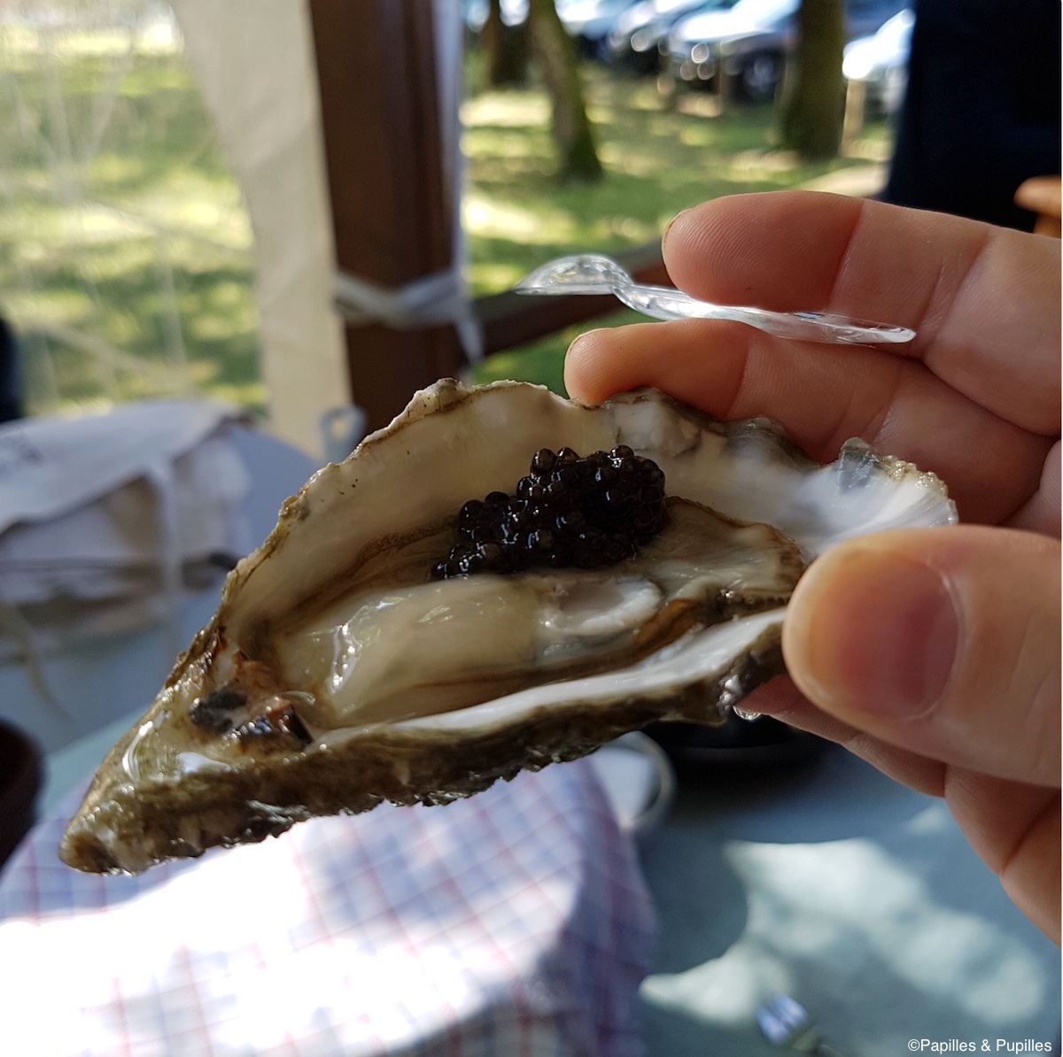 Huître et caviar du Bassin d'Arcachon