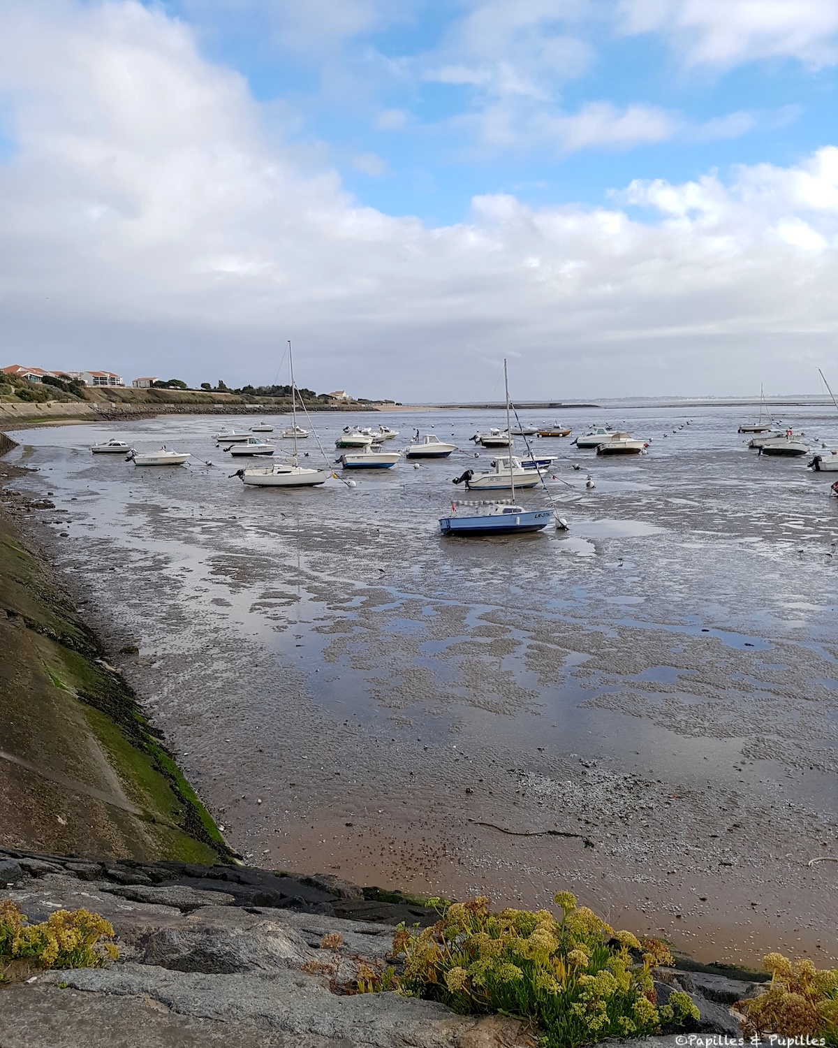 Marée basse Châtelaillon