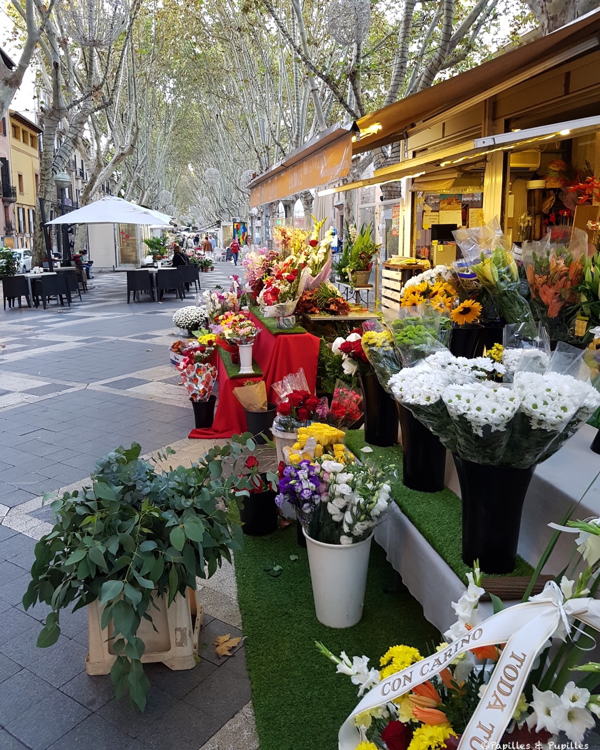 La rambla des fleurs, Palma de Majorque