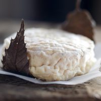 Mothais sur feuille. ©ANICAP