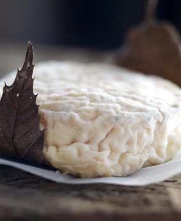 Mothais sur feuille. ©ANICAP