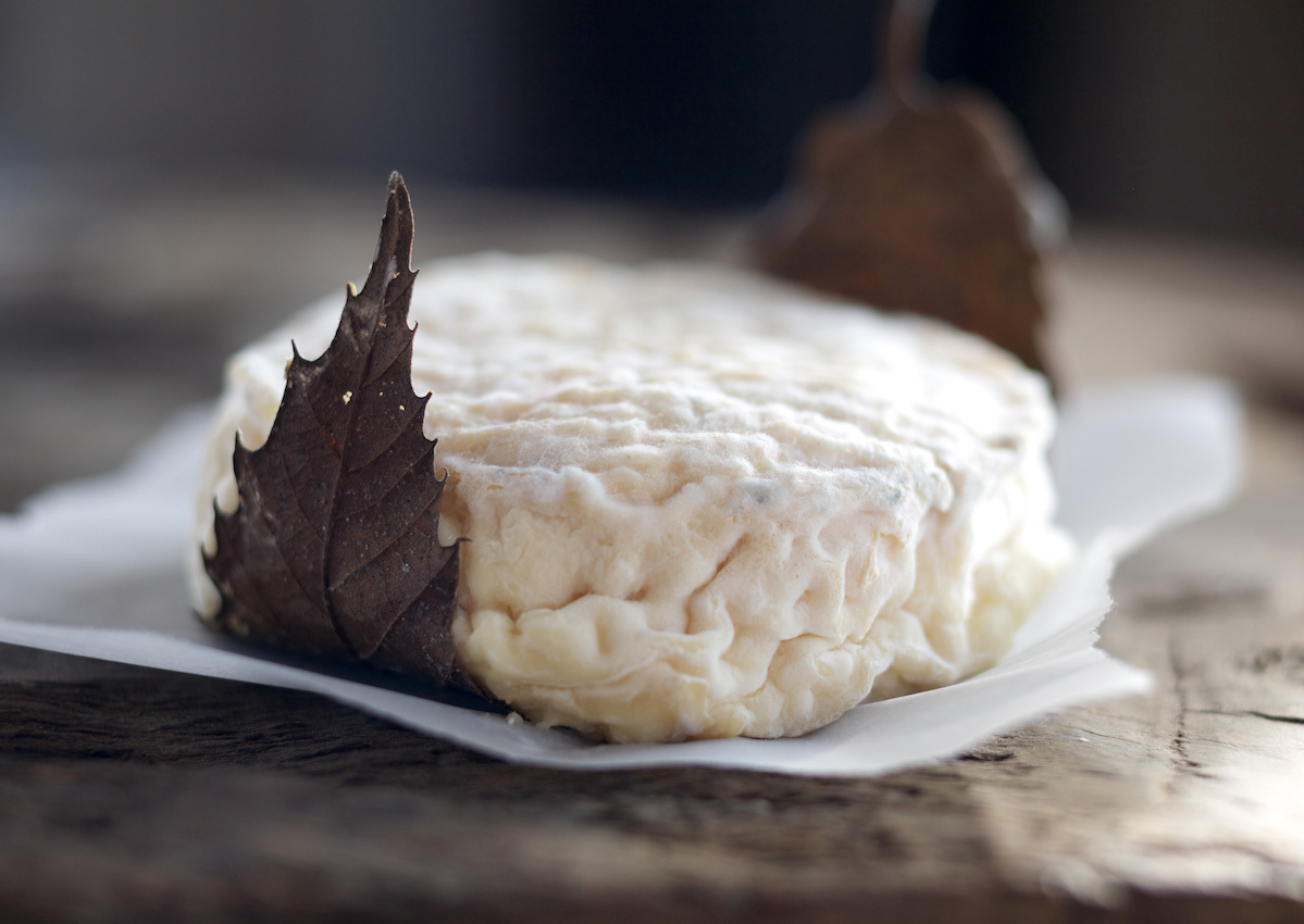 Mothais sur feuille. ©ANICAP