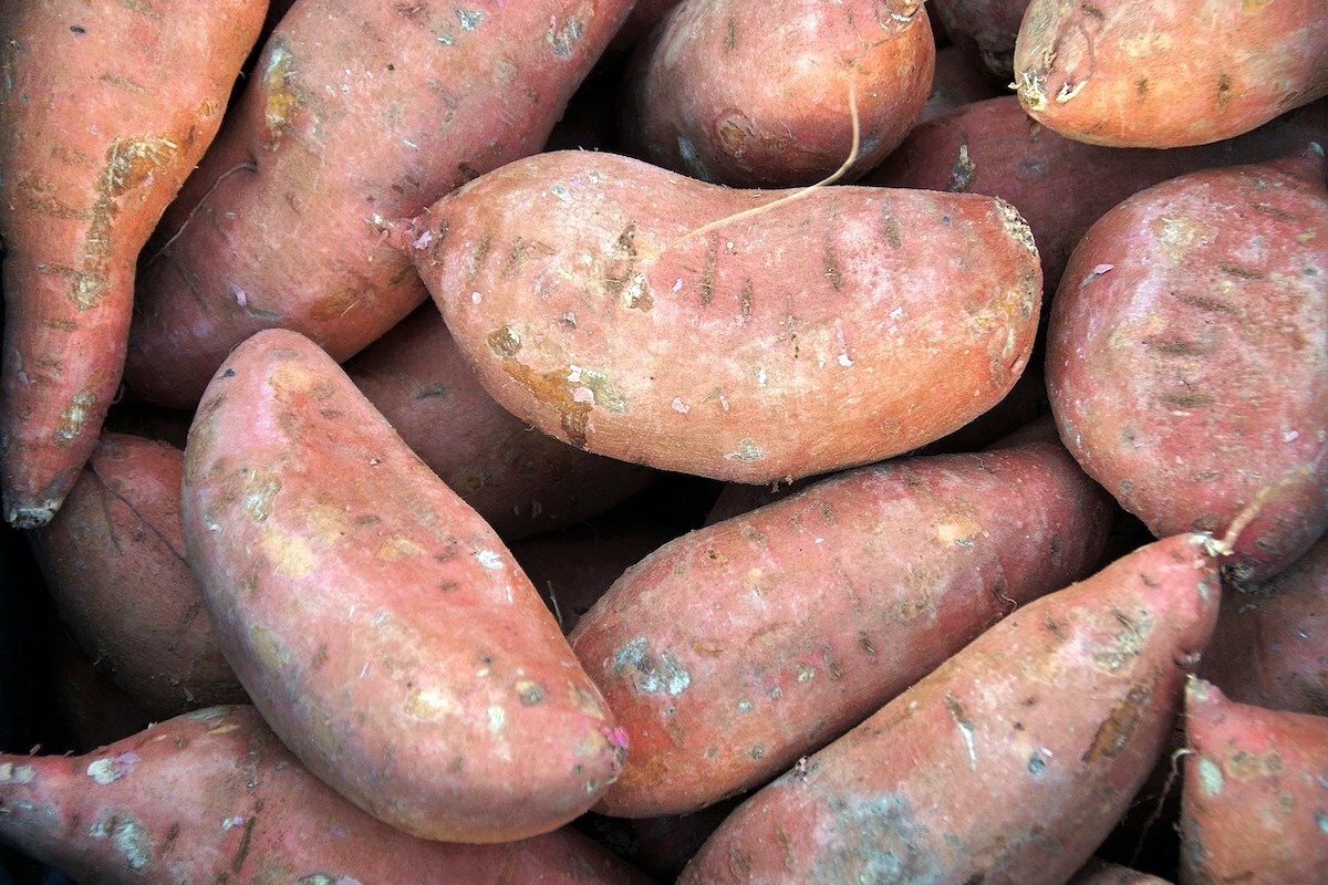 Patates douces ©vabalk de Pixabay