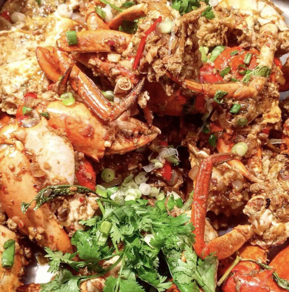 Le crabe au poivre de Jeffey - Singapour ©ovenbirdsonwheel