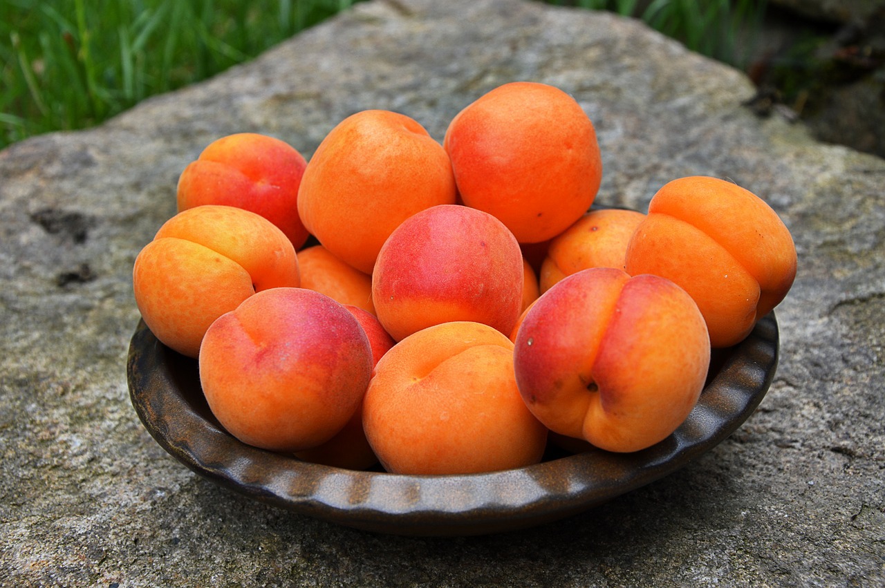 Abricots (c) Roselie CC0 Pixabay