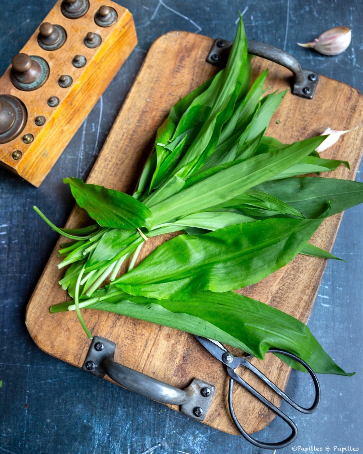 Feuilles fraîches d’ail des ours utilisées en cuisine