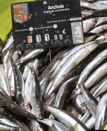 Anchois