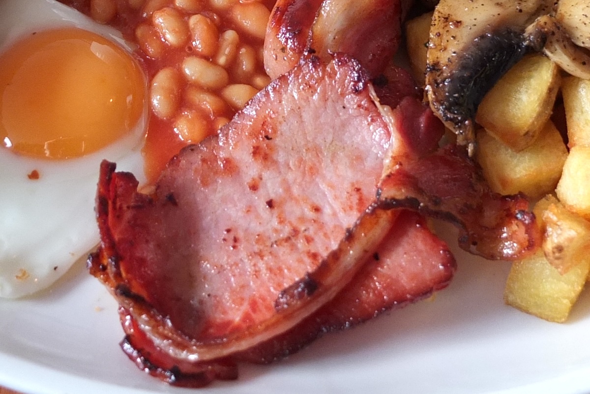 Bacon 