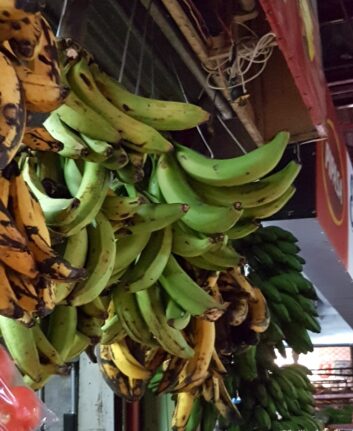 Bananes plantain