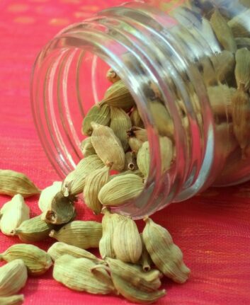 Cardamome verte