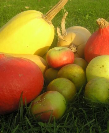 Courges et pommes