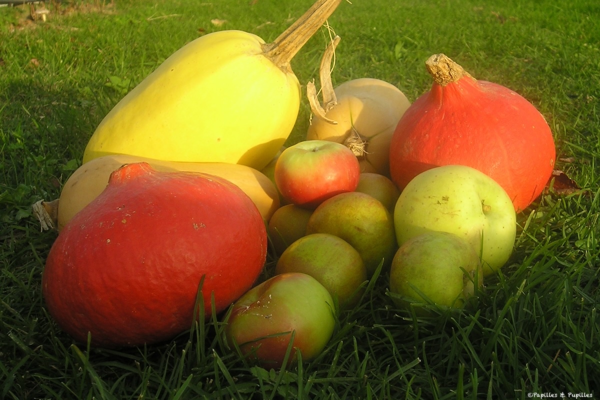 Courges et pommes