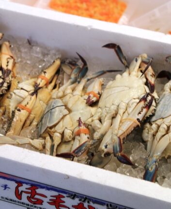 Crabes