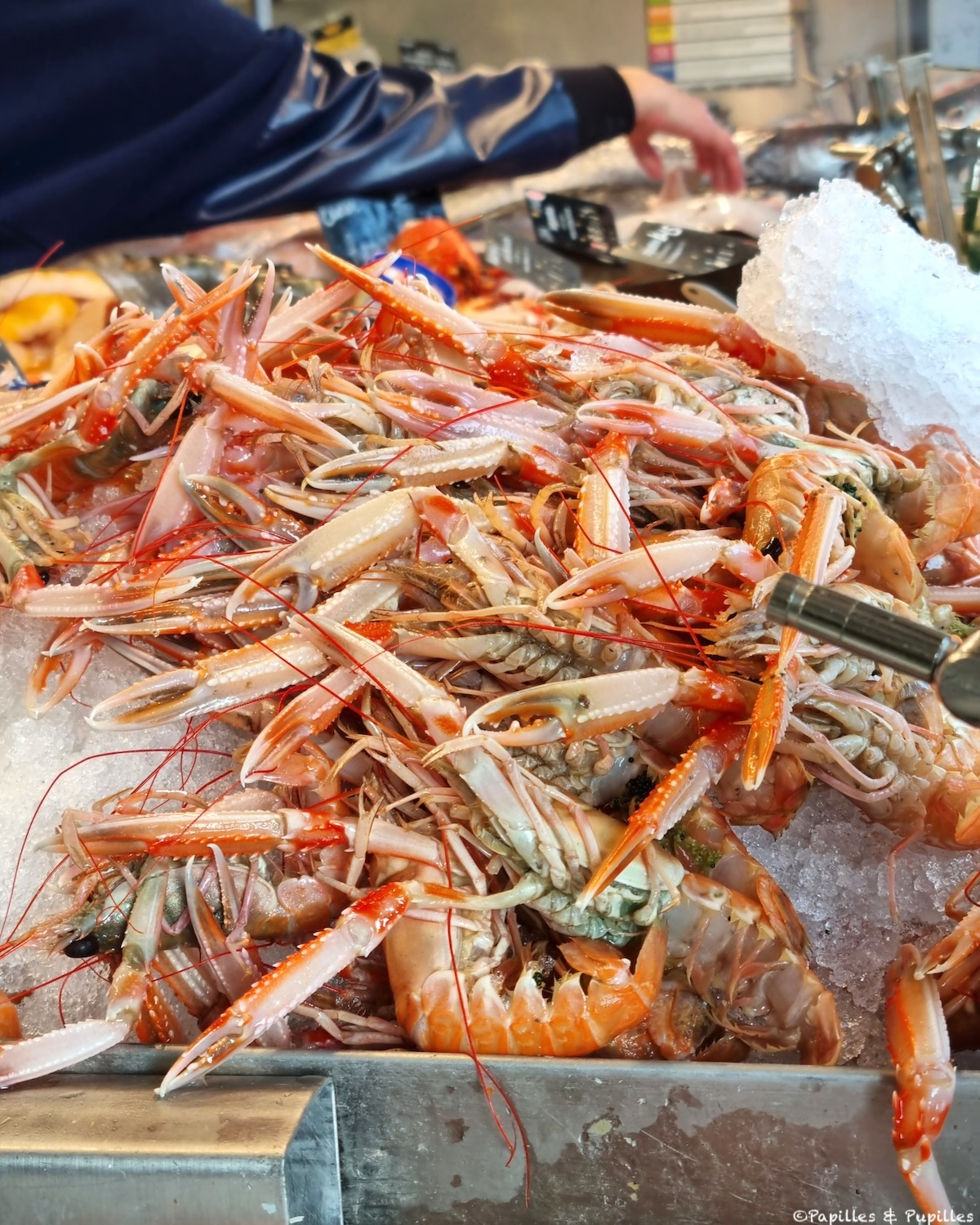 Langoustines