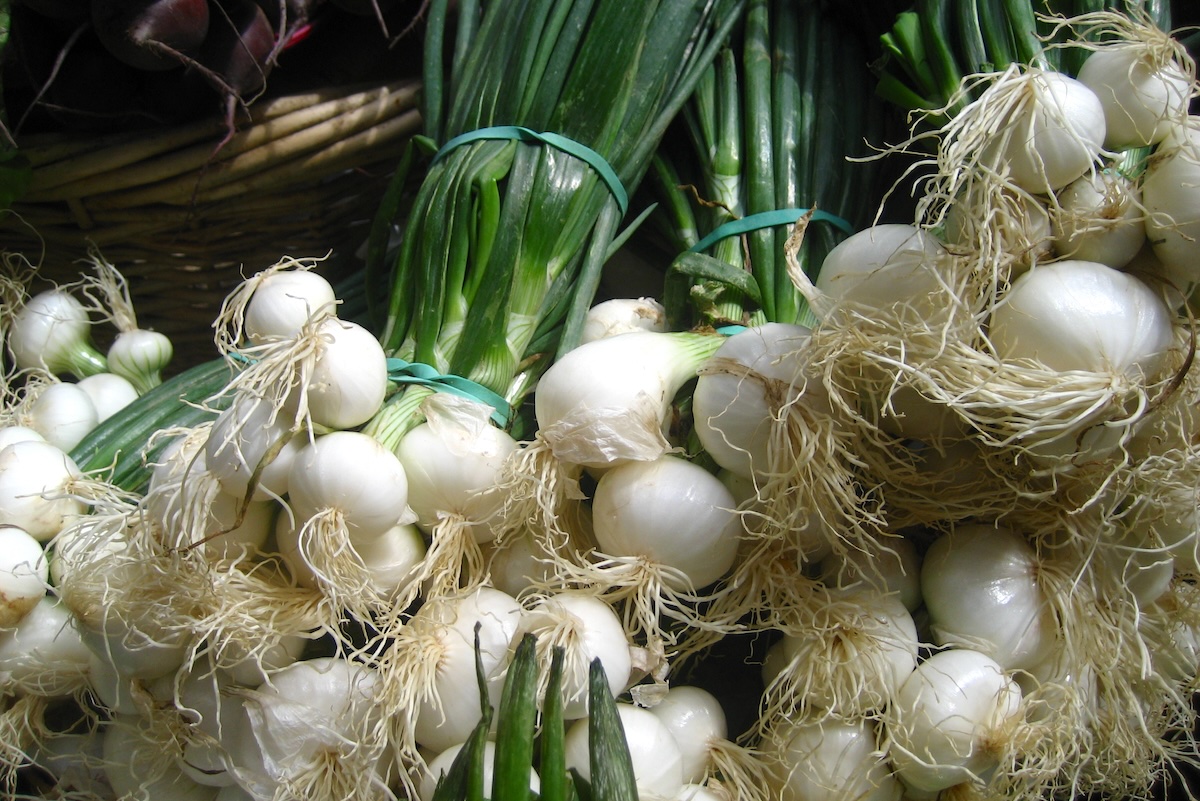 Oignons blancs ©Jeremy Keith CCBY20