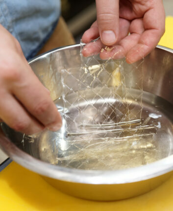 Feuilles de gélatine ©De Kondor83 shutterstock