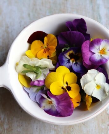 Fleurs comestibles