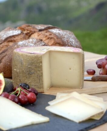 Fromage de brebis Ossau Iraty
