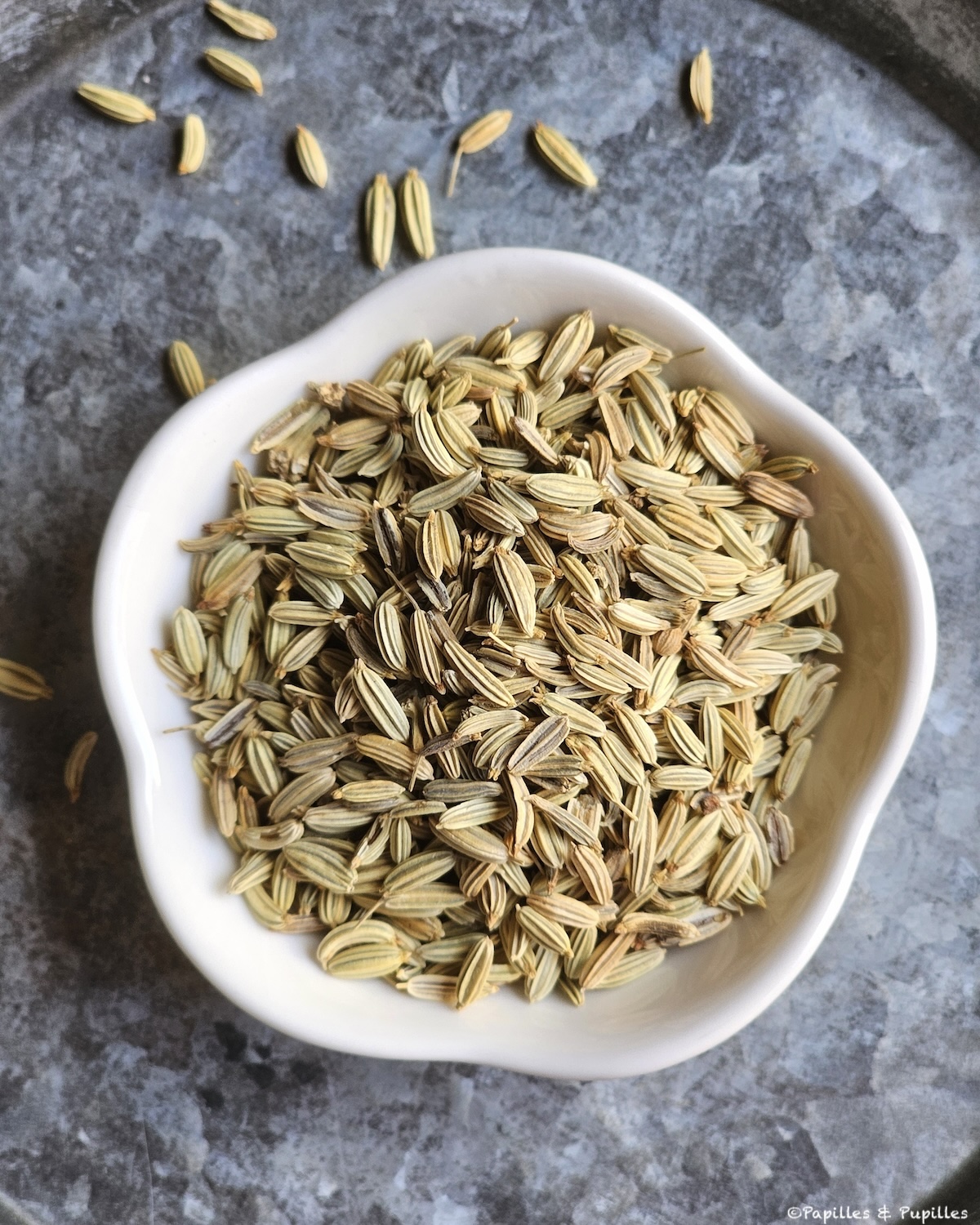Graines de fenouil