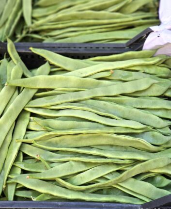Haricots plats