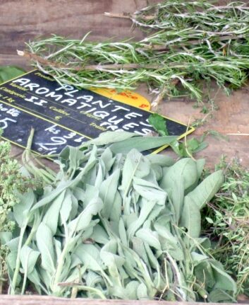 Herbes aromatiques