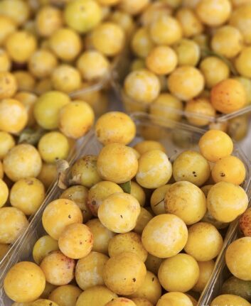 Mirabelles