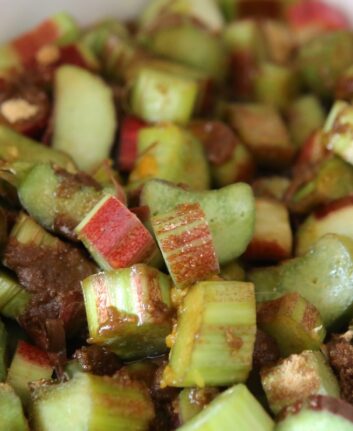 Morceaux de rhubarbe