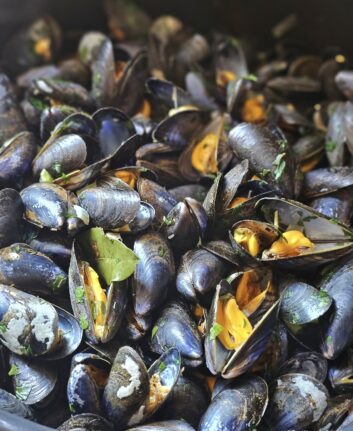 Moules