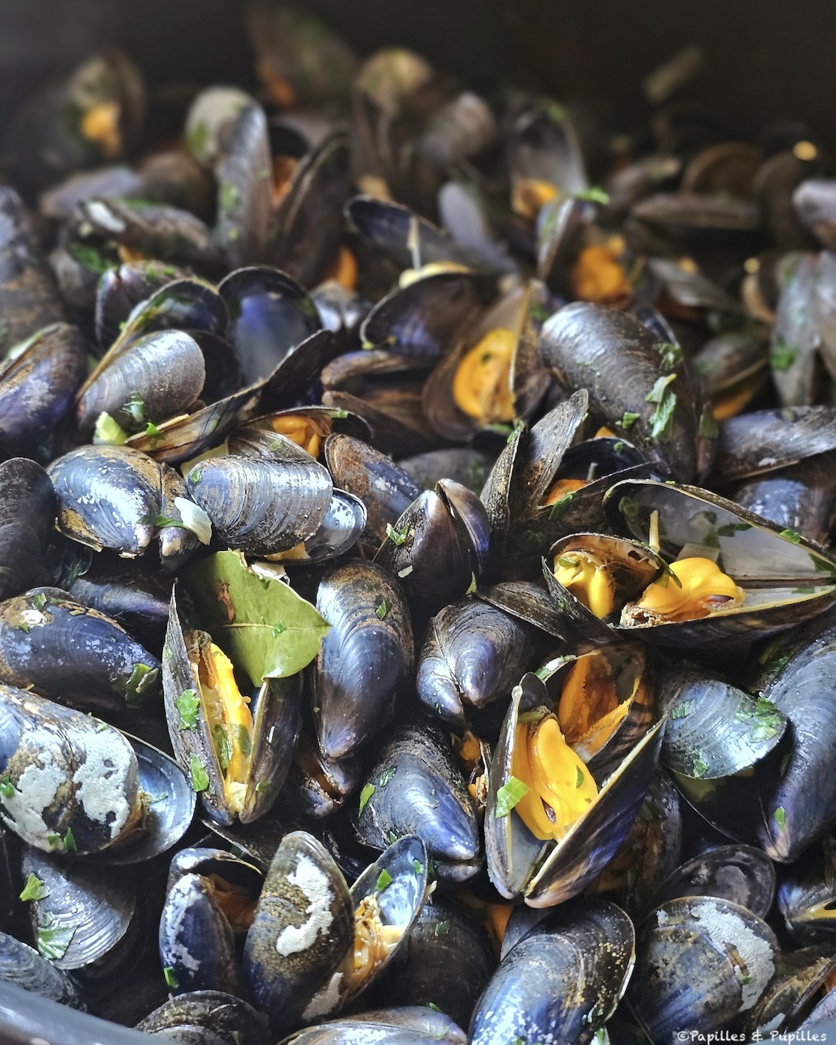Moules