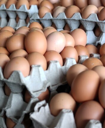 Oeufs
