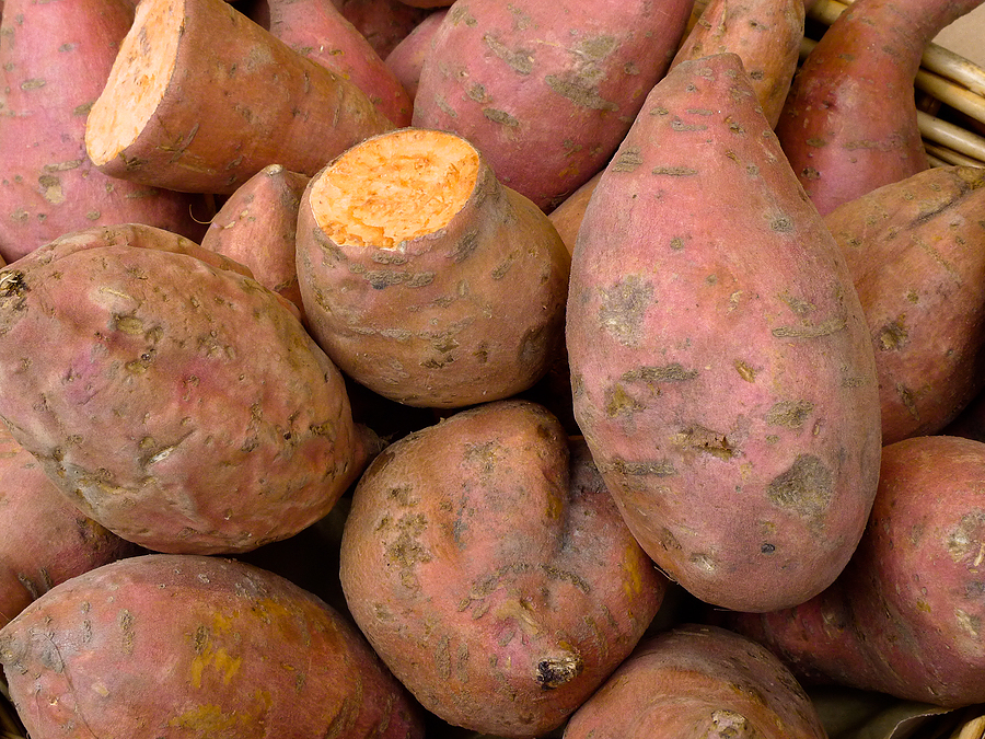 Patates douces (c) Michaela Weingartova CC BY 2.0