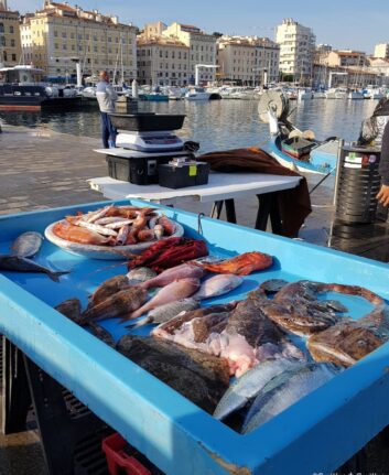 Poissons