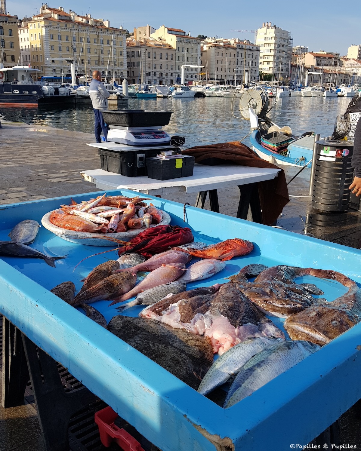 Poissons