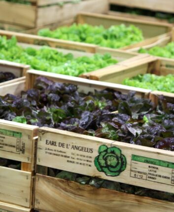 Salades