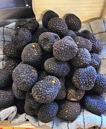 Truffes noires