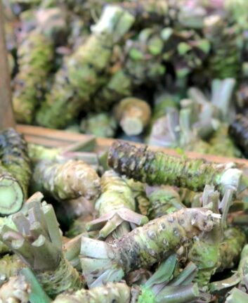 Wasabi