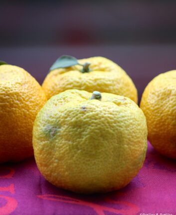 Yuzu