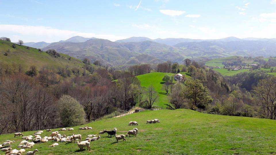 Vue sur la vallée depuis la ferme ©Feranyo