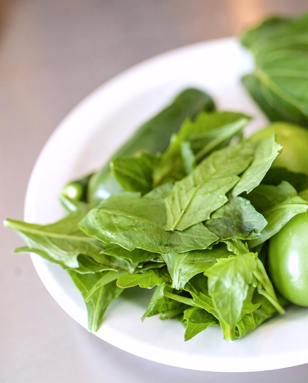 Epazote - Herbe aromatique mexicaine