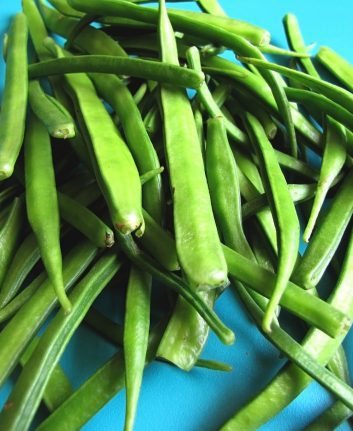 Guar (cluster Beans)