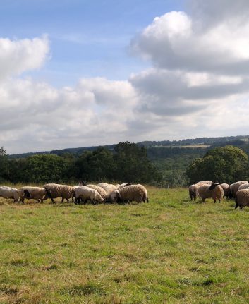 En Bretagne avec Thomas Raiffé
