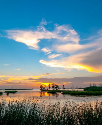 Marais Atchafalya - Louisiane © JB Manning shutterstock