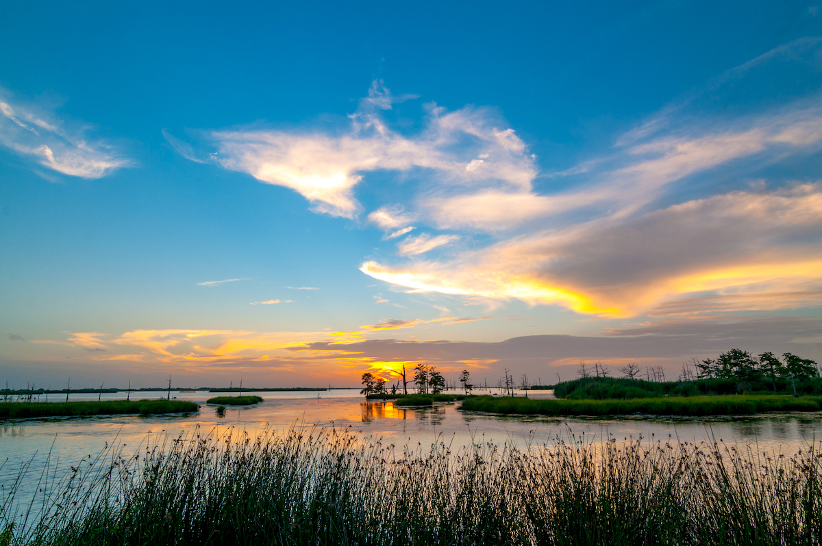 Marais Atchafalya - Louisiane © JB Manning shutterstock
